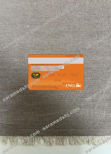Netherlands ING Orange VISA photolook back